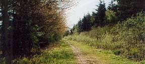 Cycle Track