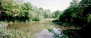 Picnic area